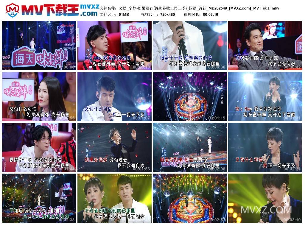 文松_宁静-如果没有你(跨界歌王第三季)_国语_流行_MD202549